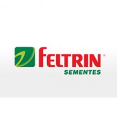 Feltrin